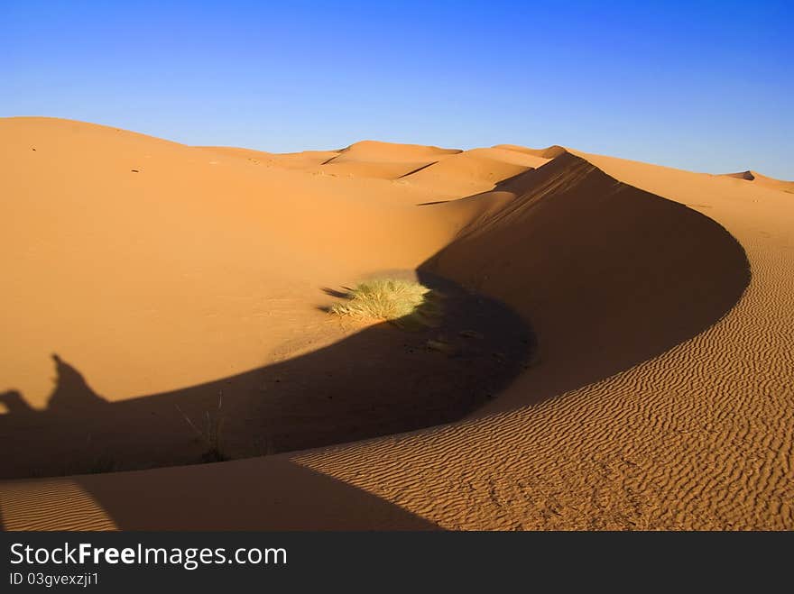 Sahara desert