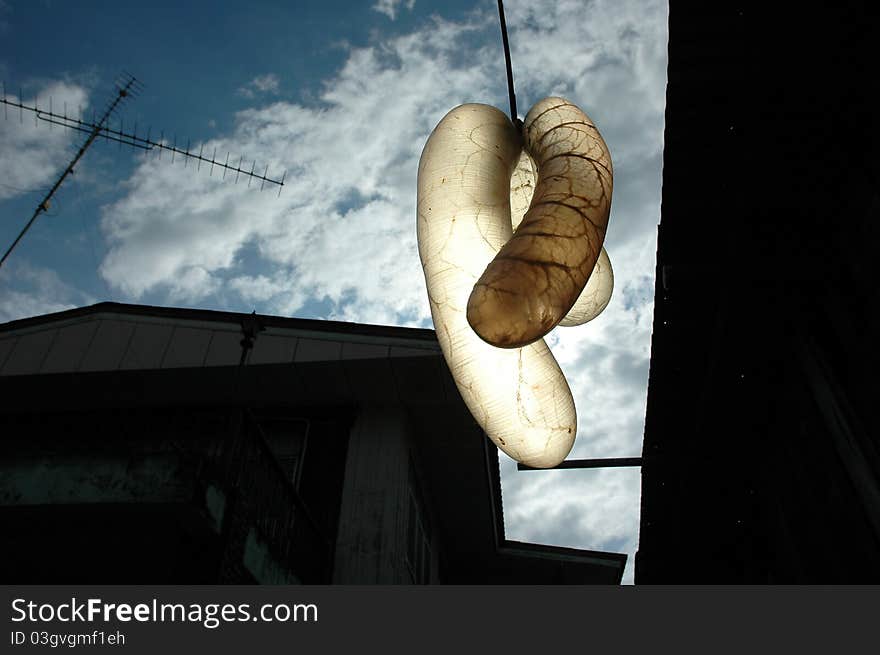 Intestine of a cow being taken to prepare a dried sausage. Intestine of a cow being taken to prepare a dried sausage.