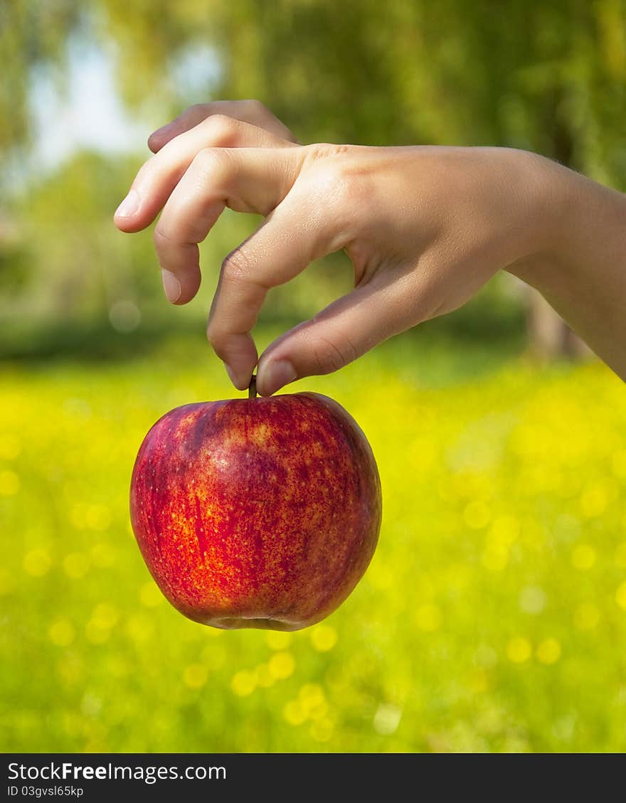 Red apple in hand outdoor