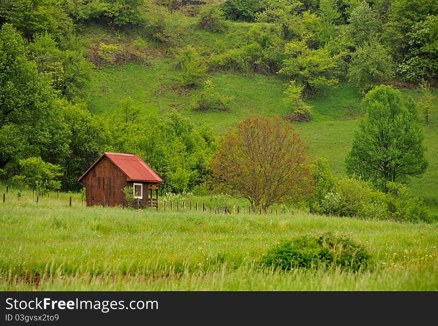 Red Cottage In Nature