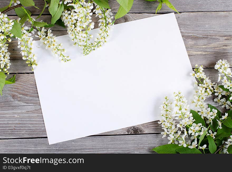 Bird cherry branch on a wooden surface background