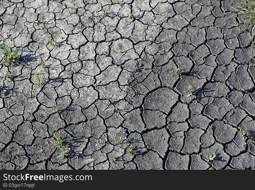 Cracked soil during the hot season. Cracked soil during the hot season