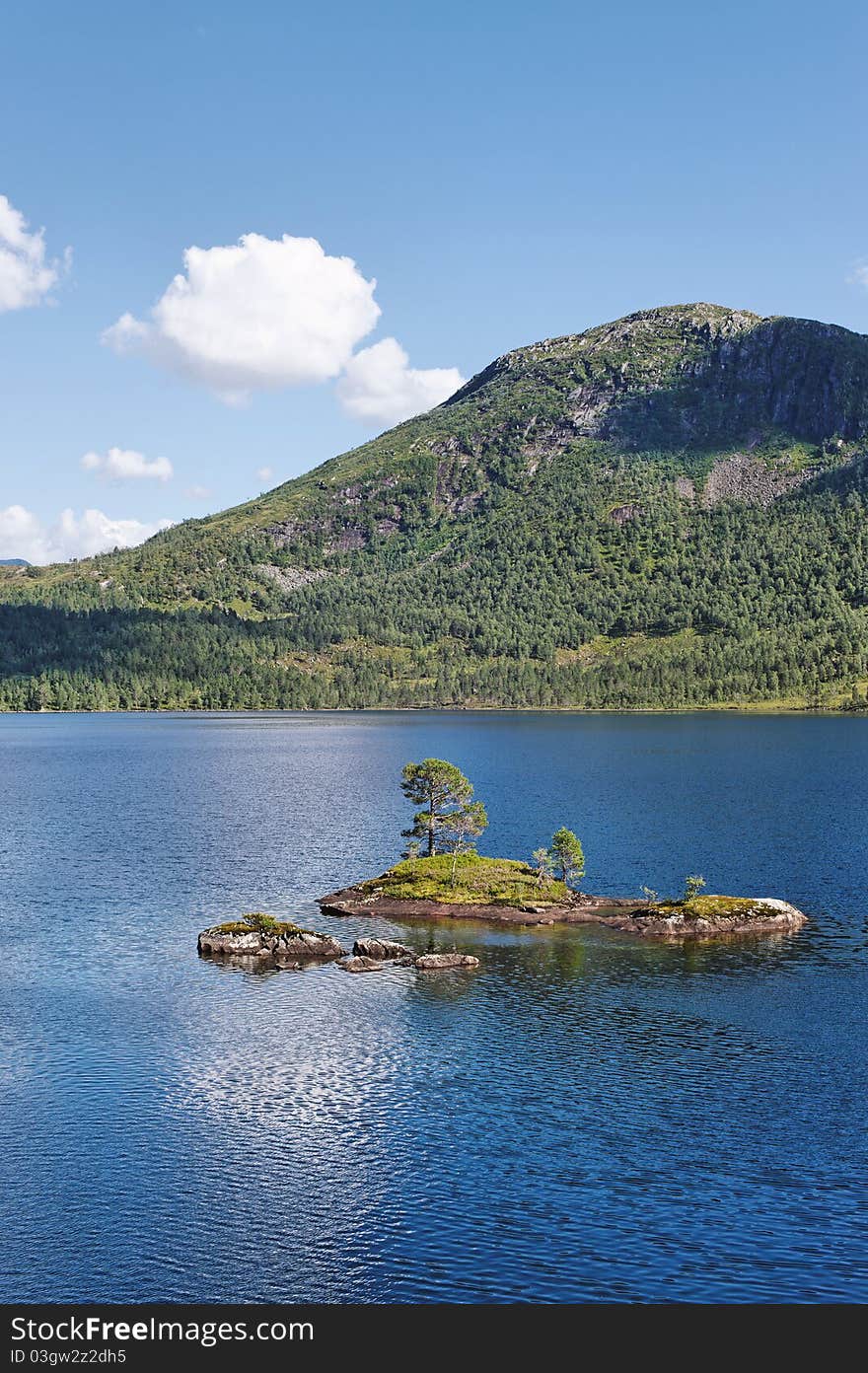 Island in a fjord