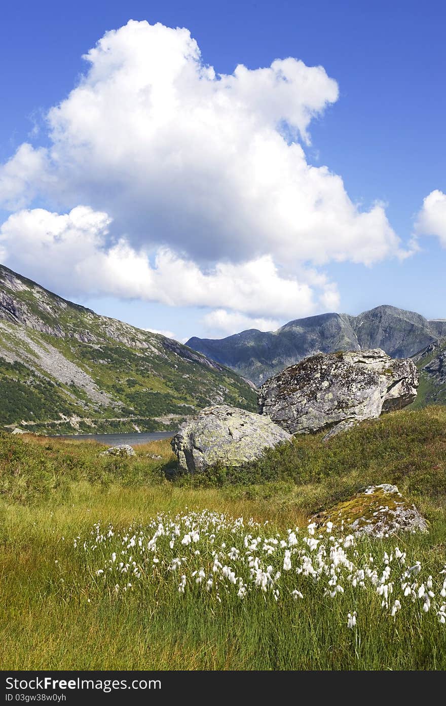 Norwegian landscape