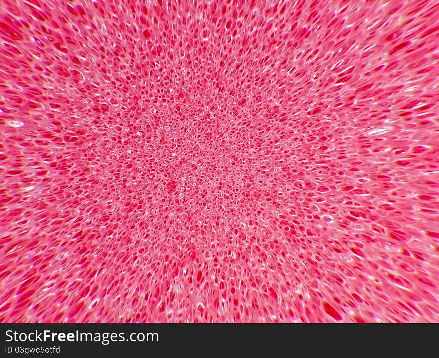 Pink Sponge Texture Close Up Blast Out