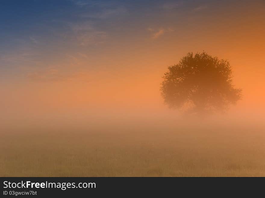 Spring sunrise above fields with the fog. Spring sunrise above fields with the fog