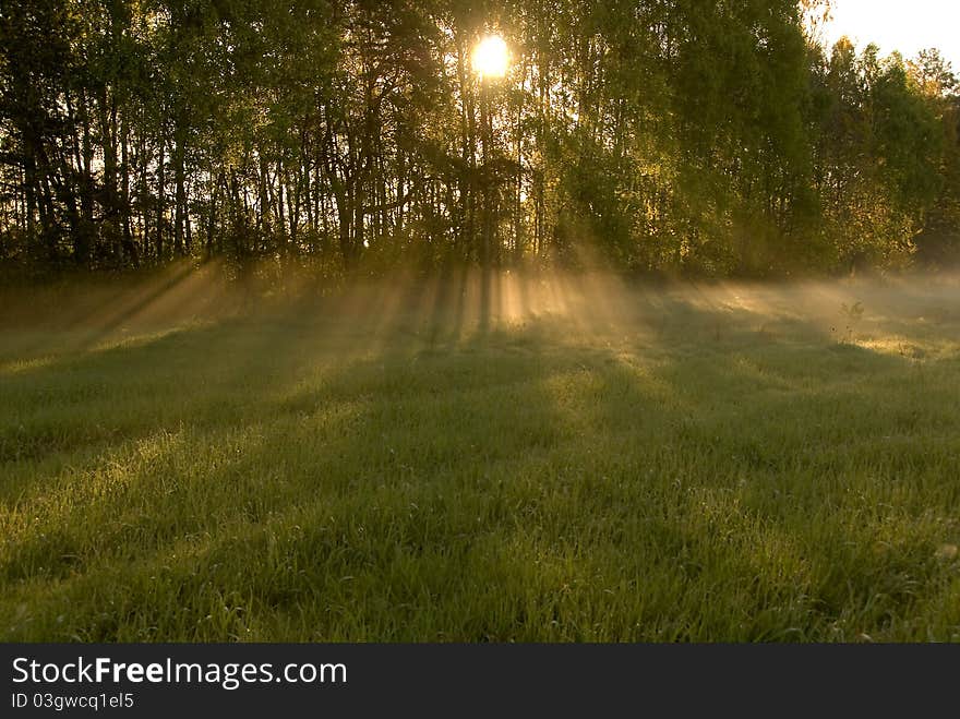 Spring landscape