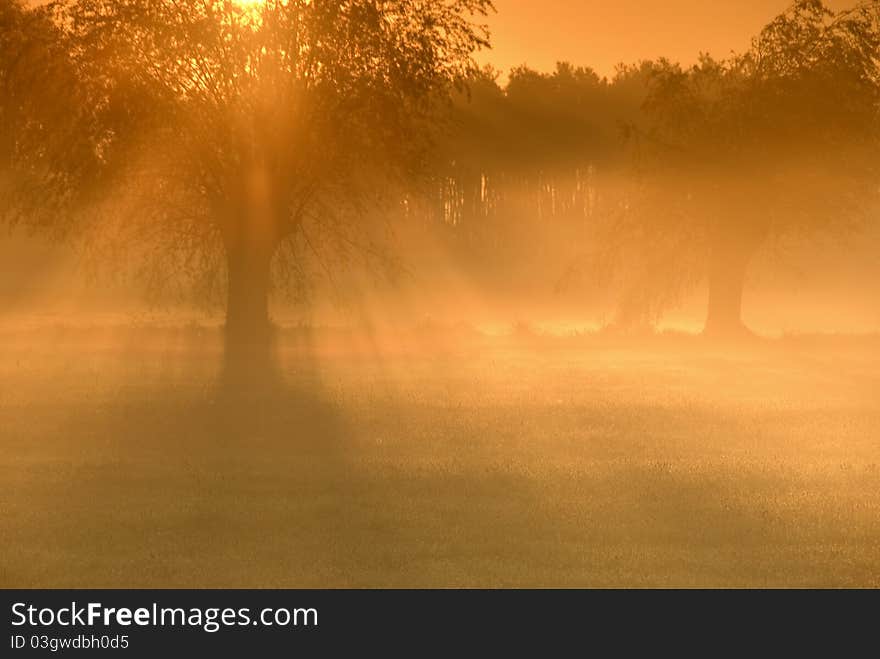 Spring sunrise above fields with the fog. Spring sunrise above fields with the fog