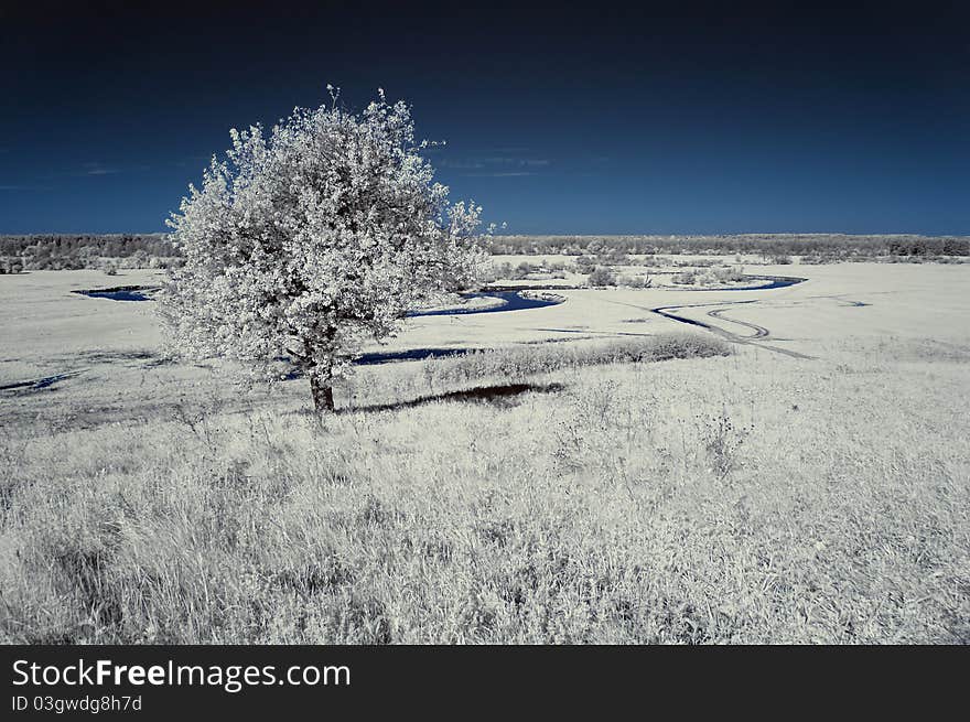 Landscape in the infrared