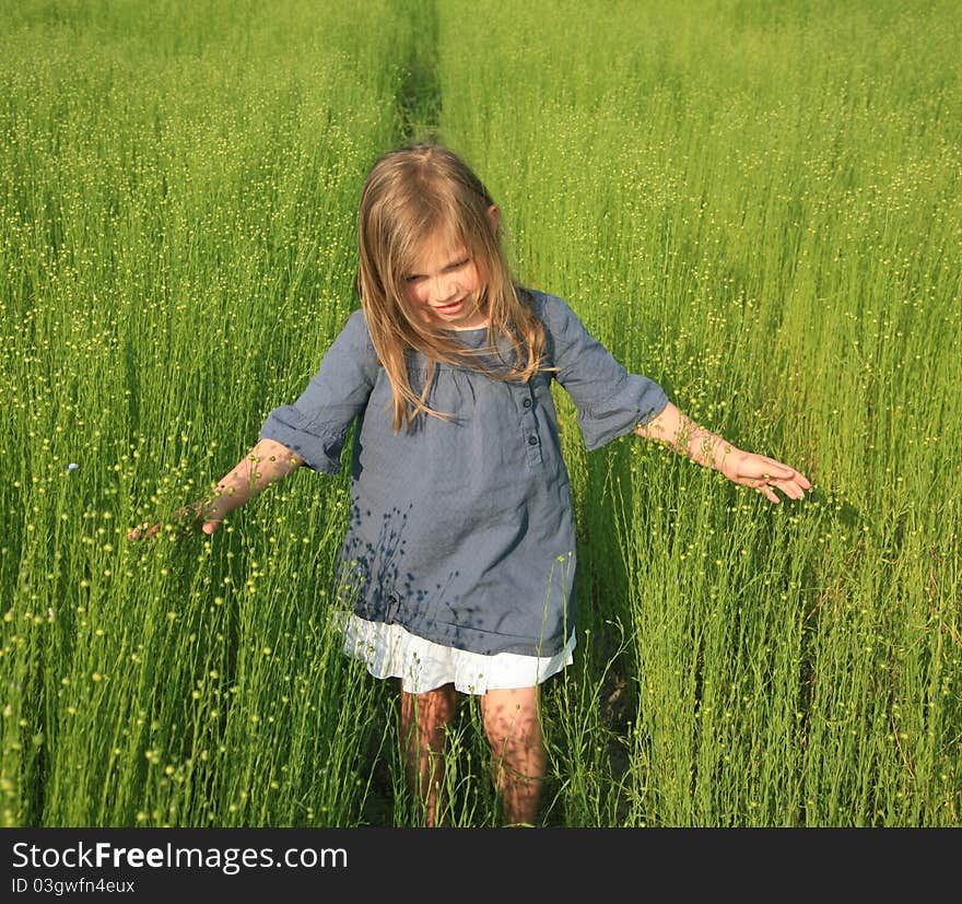 Young girl walking on field of flax. Young girl walking on field of flax