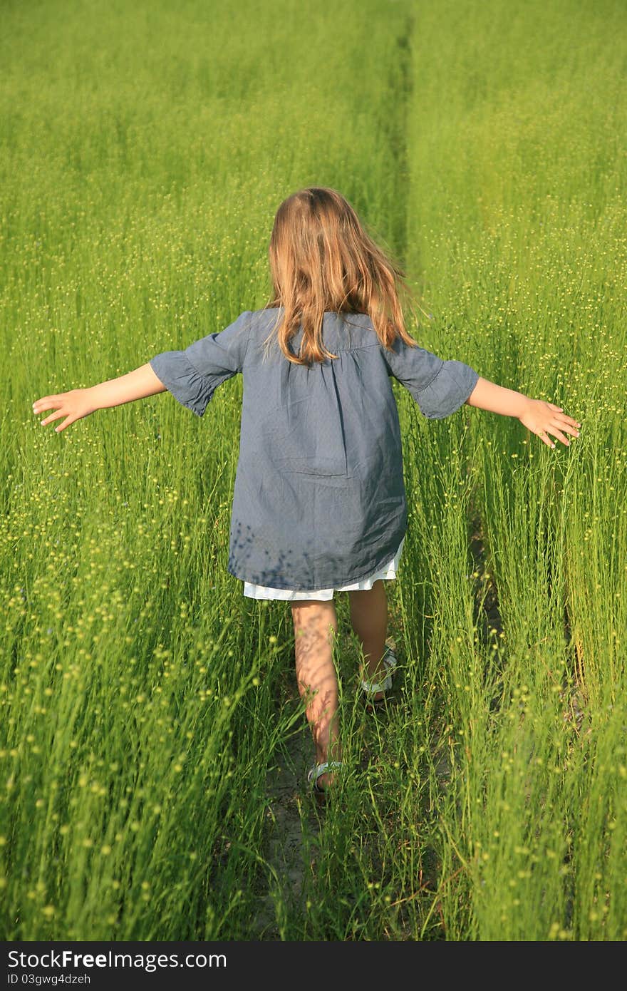 Young girl walking on field of flax. Young girl walking on field of flax