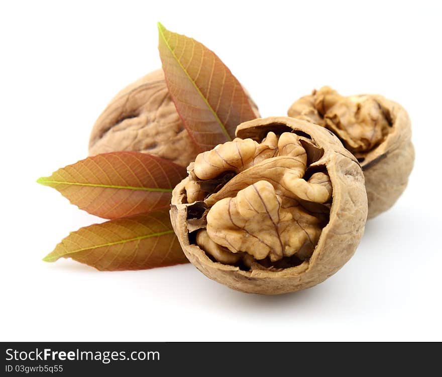 Walnut with leaf isolated on white background. Walnut with leaf isolated on white background