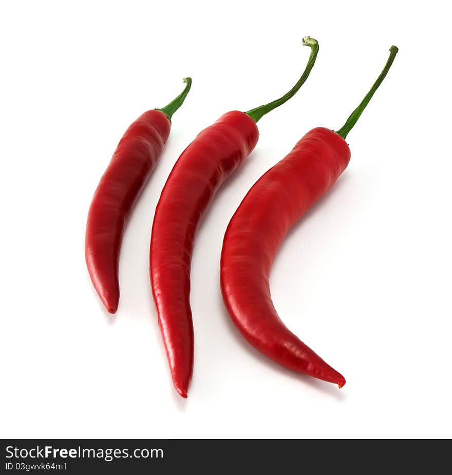 Three chili in row isolated on white background