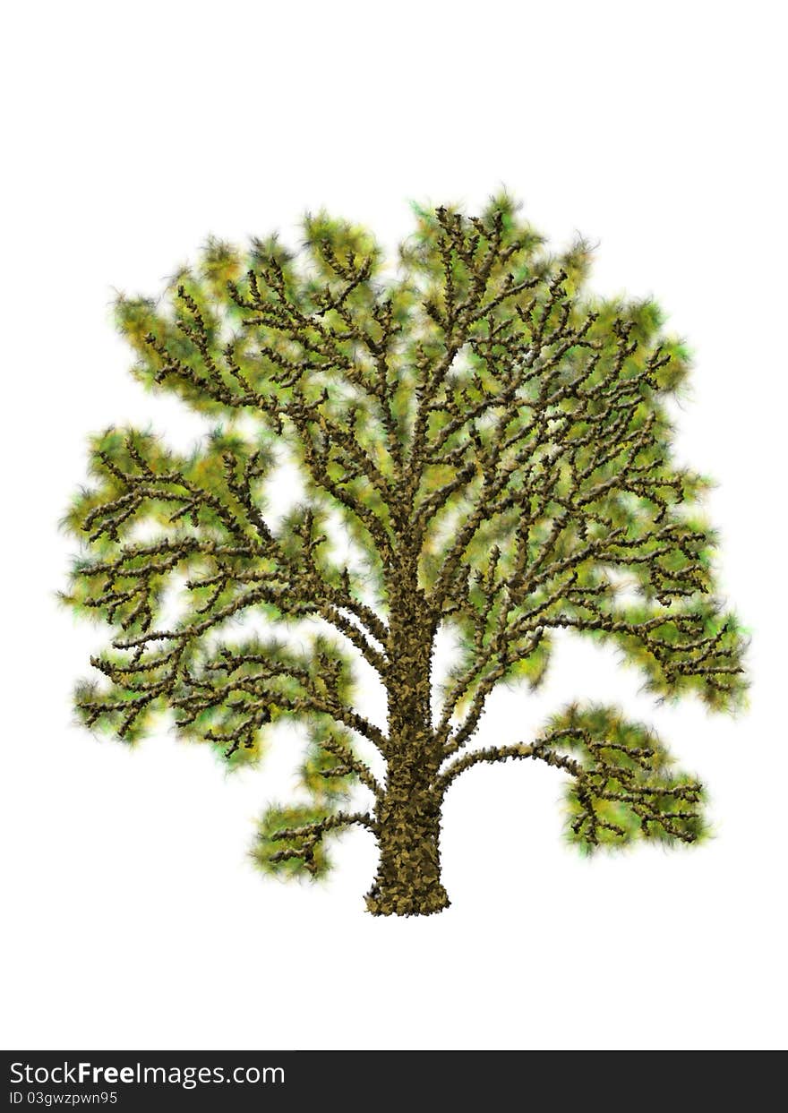 Tree Illustration