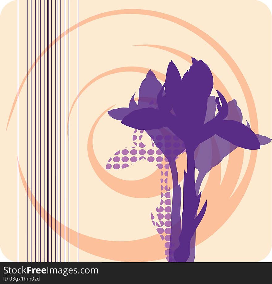 Postcard with soft silhouettes of purple irises