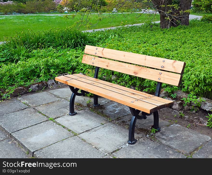 Bench In Park