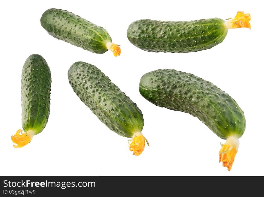 Cucumbers