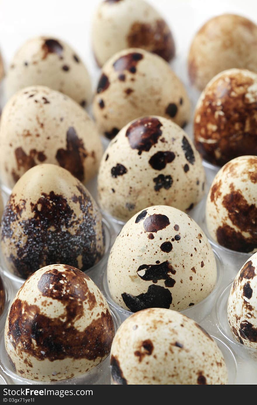 Quail eggs