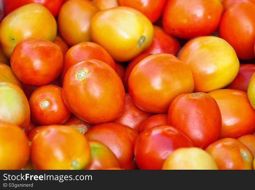 Fresh  tomatoes