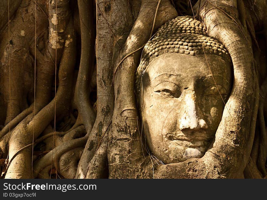 Buddha head in the thai temple