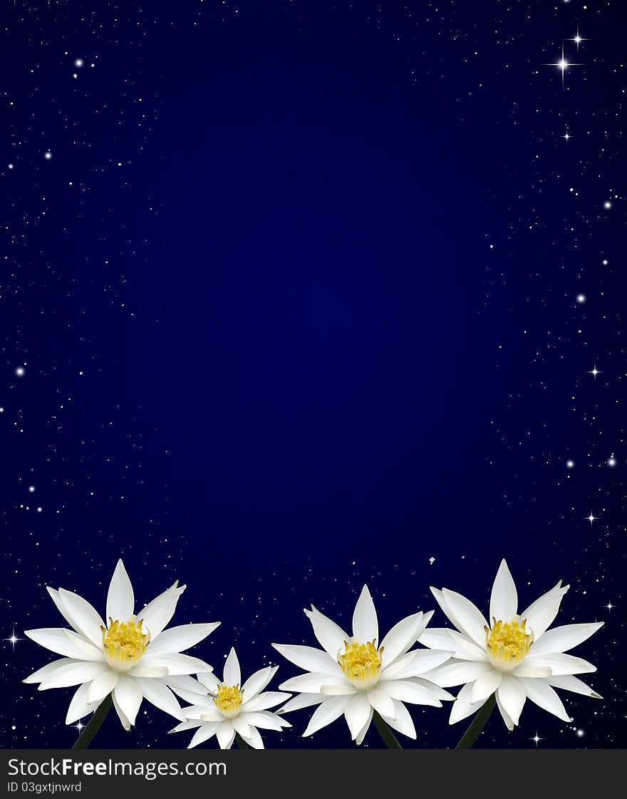 Isolated Lotus White Night Sky