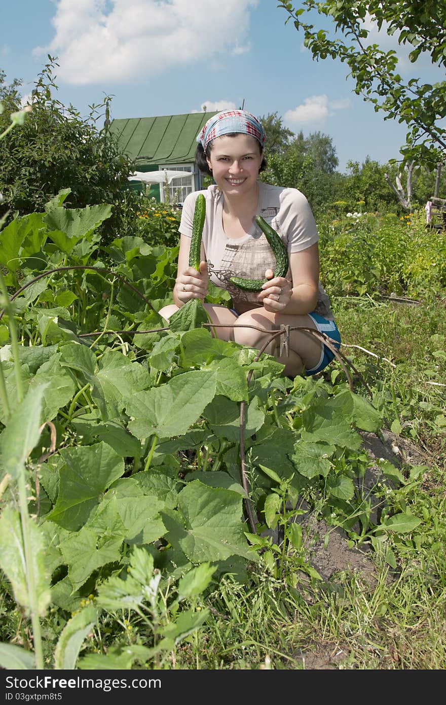 Smiling gardener in vegetable garden.