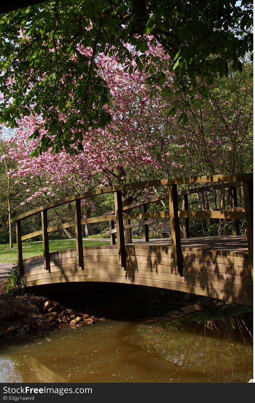 A park with a bridge and lots of beautiful trees