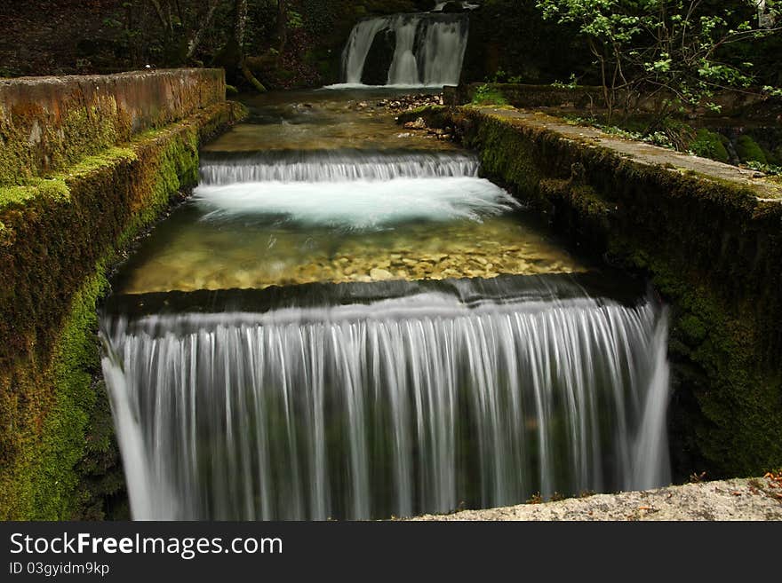 River  in a forest