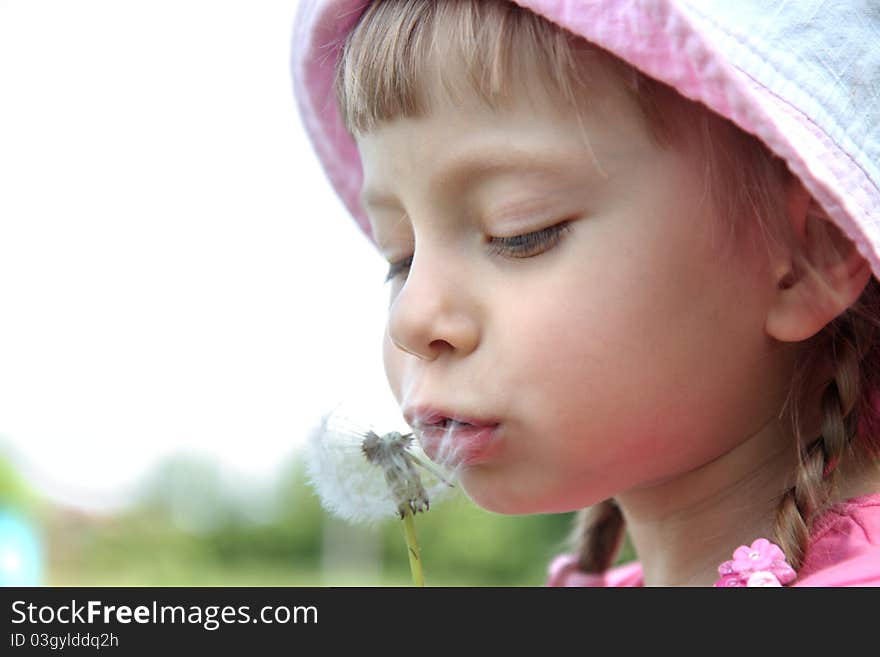 Beautiful little girl on  lawn with dandelions