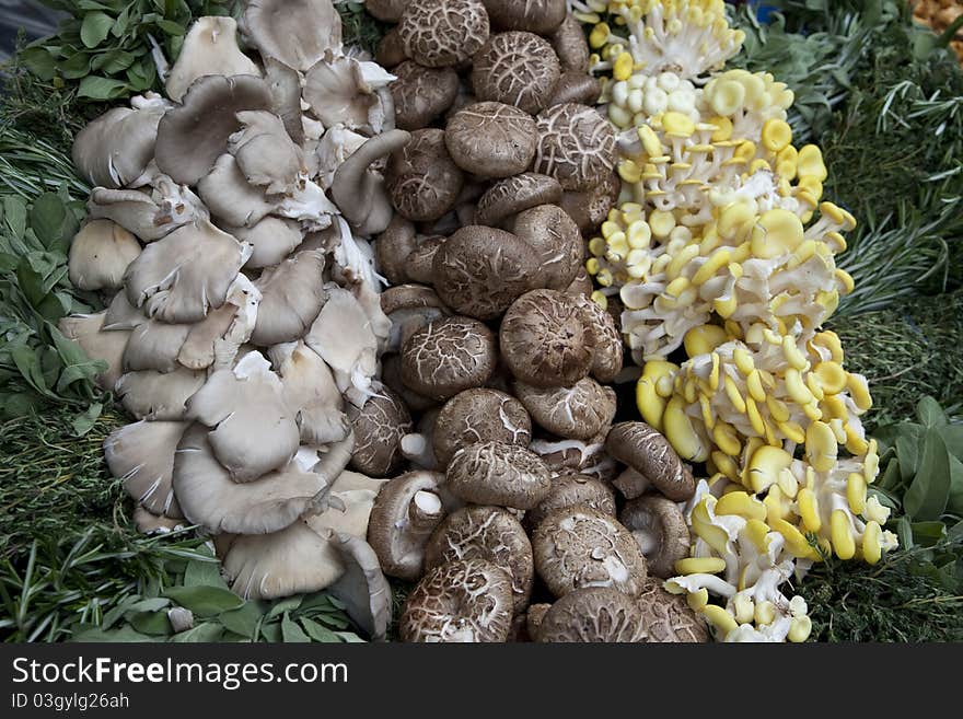 Various Mushrooms