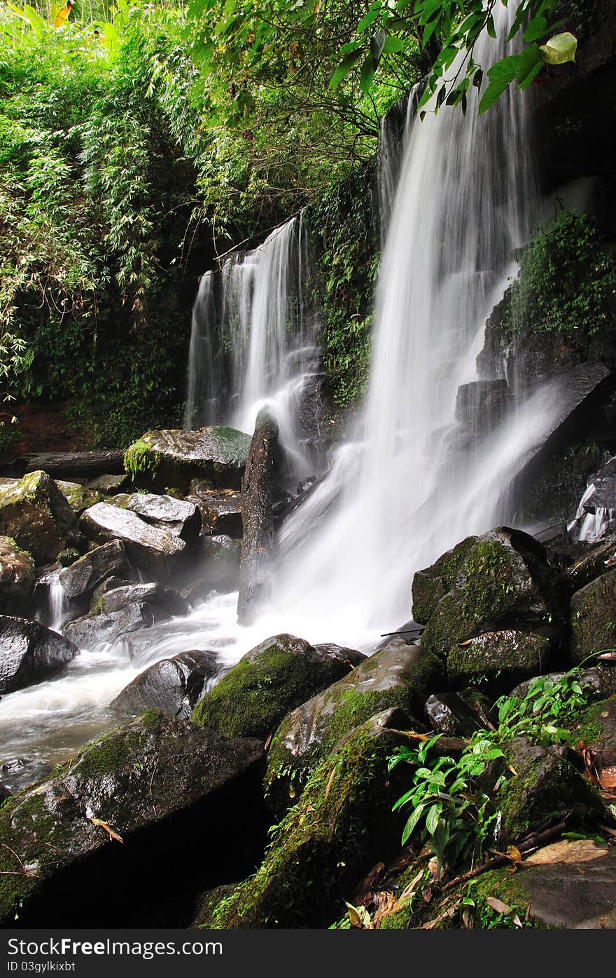 Waterfall in forest