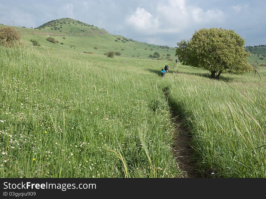 Green Field