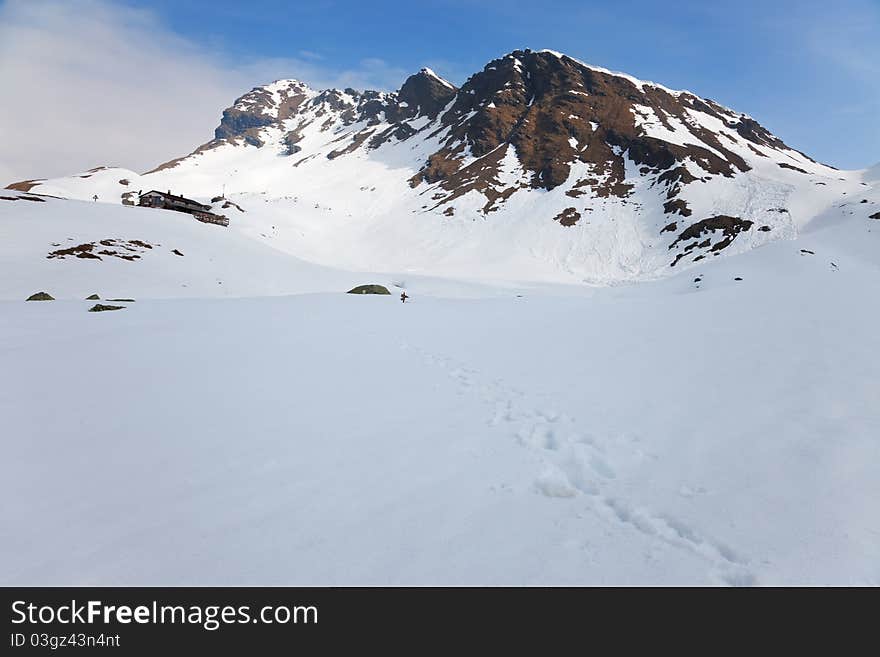 Bozzi mountain dew at 2478 meters on the sea-level. Brixia province, Lombardy region, Italy