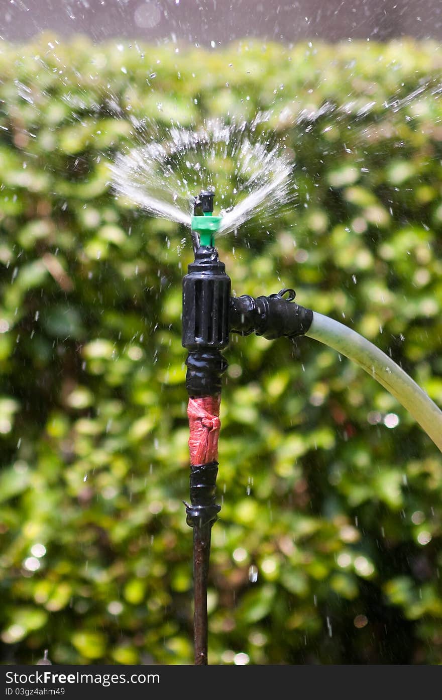 Sprinkler spray of water droplet in the garden