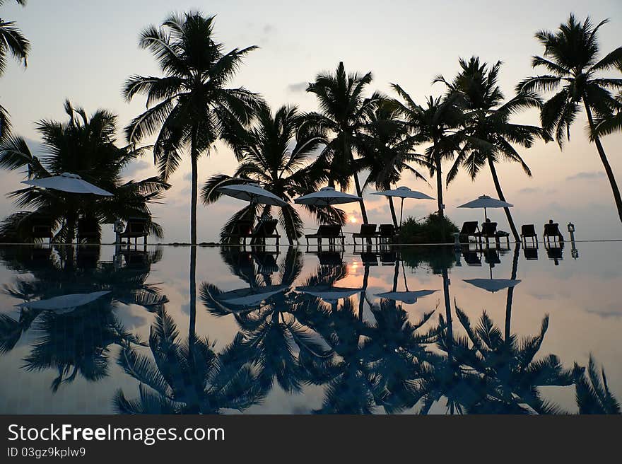 Coconut palm trees reflecting in the water pool