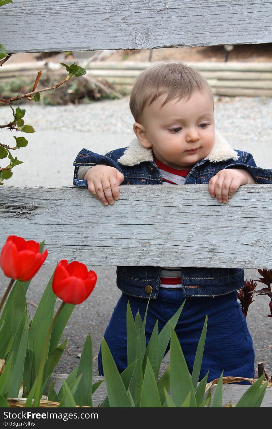 Cute baby boy standing in garden with flowers. Cute baby boy standing in garden with flowers