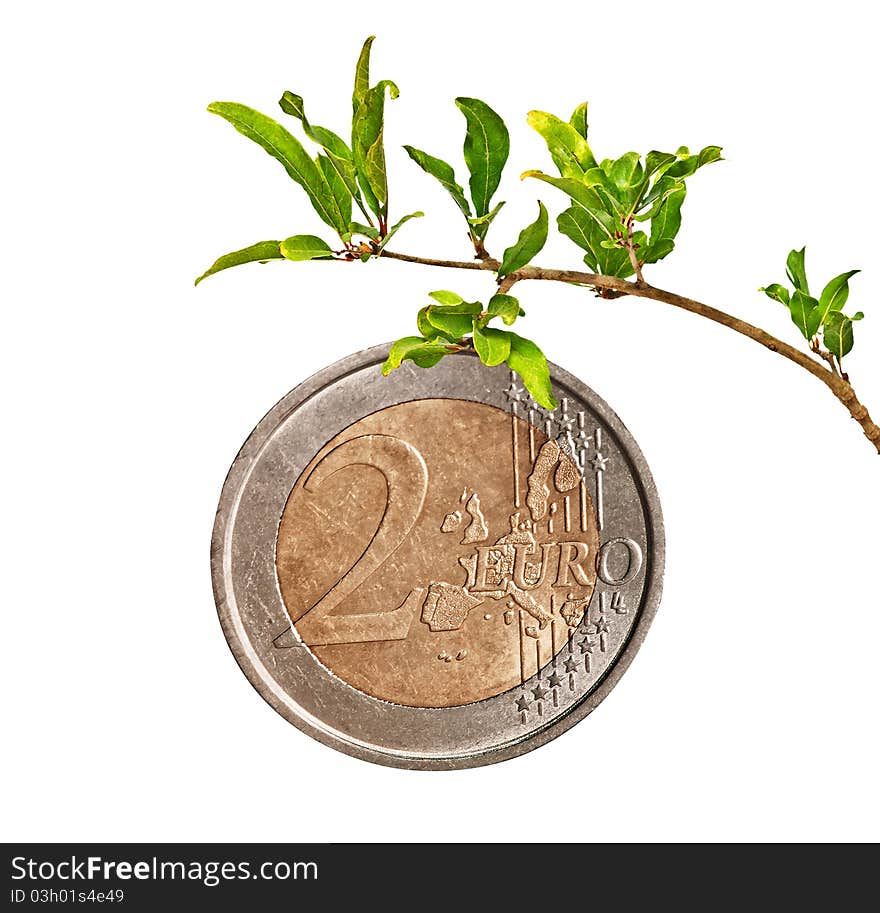 Euro as a fruit on branch