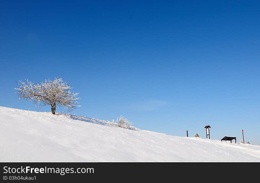 Minimalist winter landscape with tree