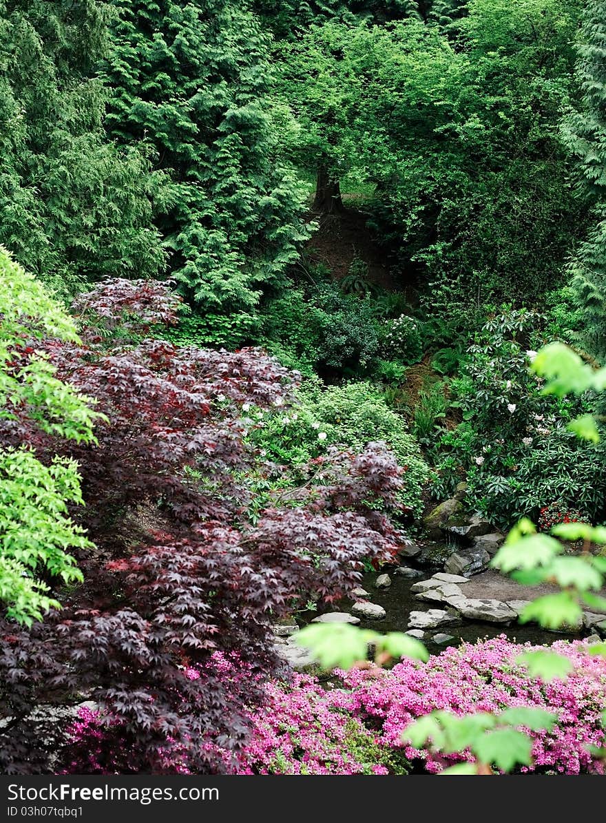 Scenic Nature park and landscaped garden grounds in springtime