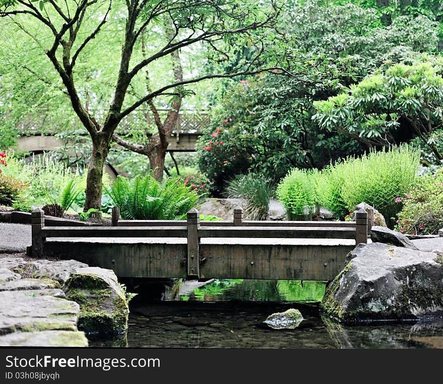 Nature park and stream with walking path bridge