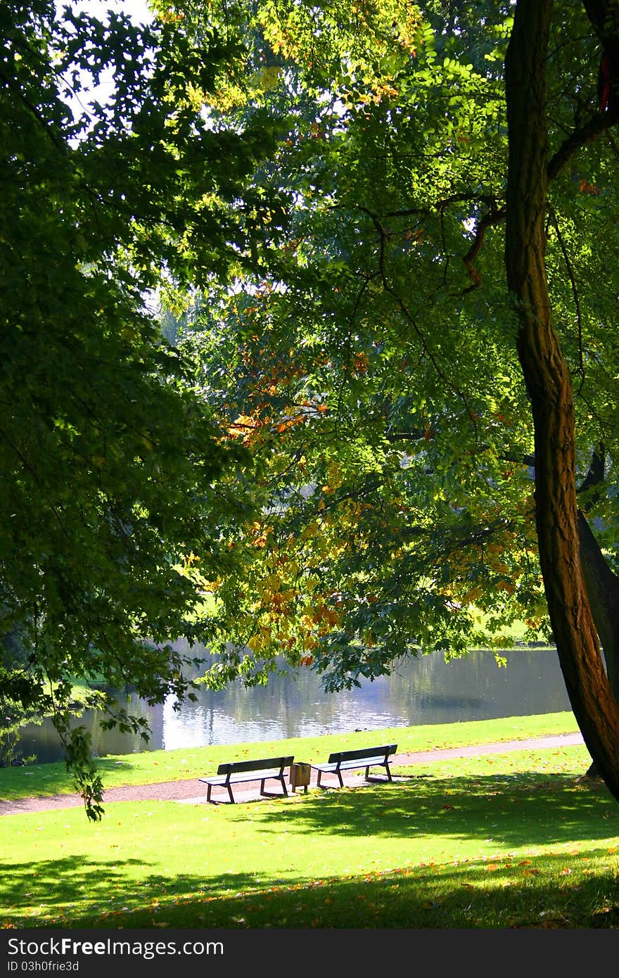 Two bench in a relaxing atmosphere of a european park. Two bench in a relaxing atmosphere of a european park.