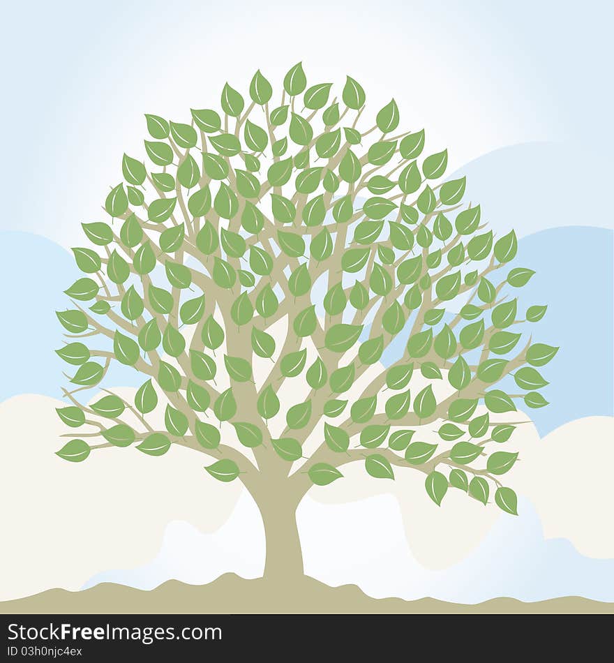 Tree with a roundish crone. A illustration. Tree with a roundish crone. A illustration