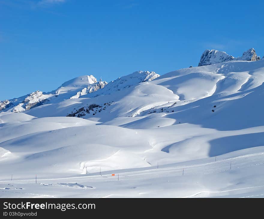 Winter Landscape