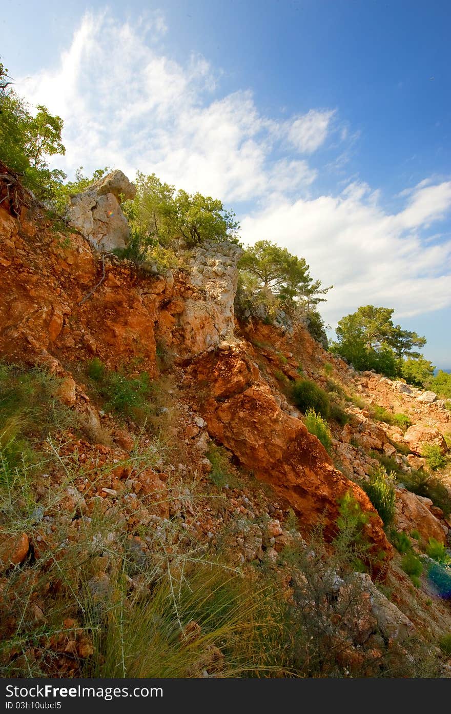 Landscape with rock and trees