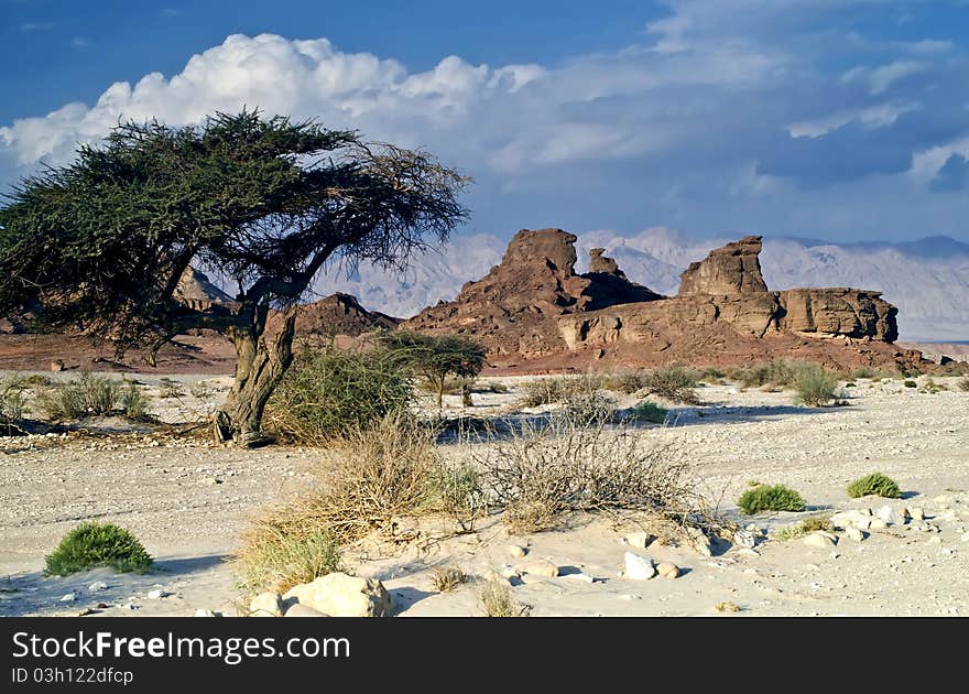 Rockies of Timna park, Israel