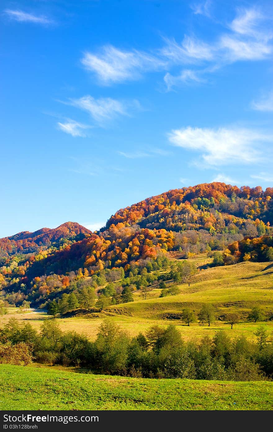 The mountain autumn landscape with colorful forest