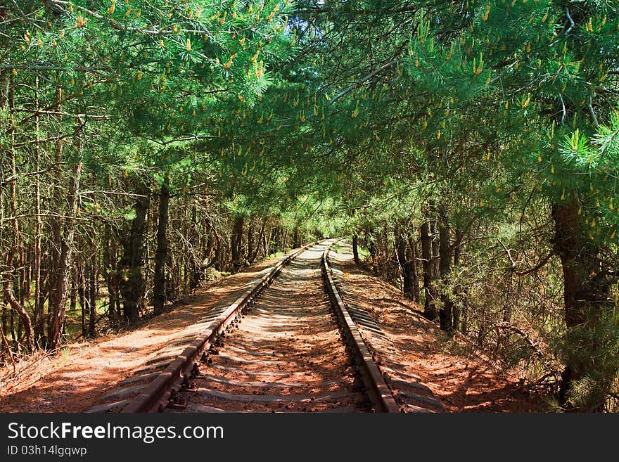 Abandoned railroad