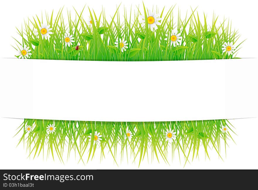 The frame decorated with a grass and flowers. The frame decorated with a grass and flowers