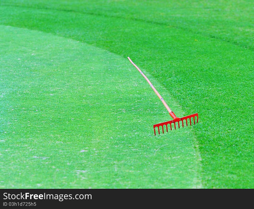 Perfect grass on the golf field