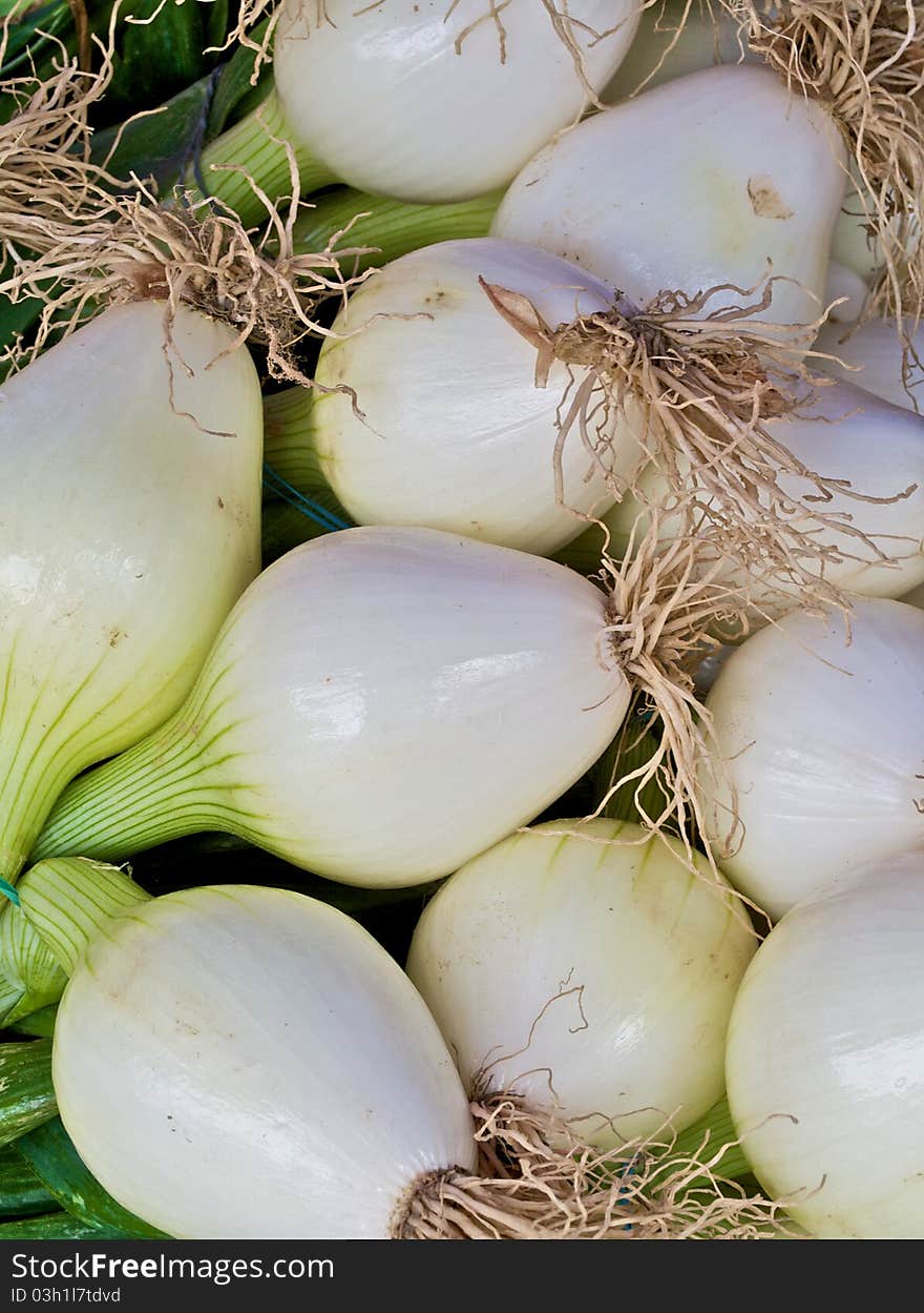 Young onions at the farmers market